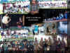 2000collage1sm.jpg (156423 bytes)