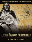 Little Bighorn Remembered