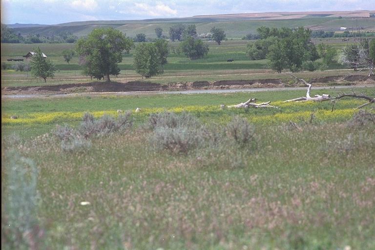 Medicine Tail Coulee Ford