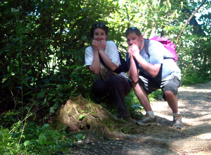 Cowering behind what is left of the Cora/Alice stump!