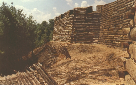 Fort Exterior Walls