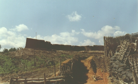 Fort From Road
